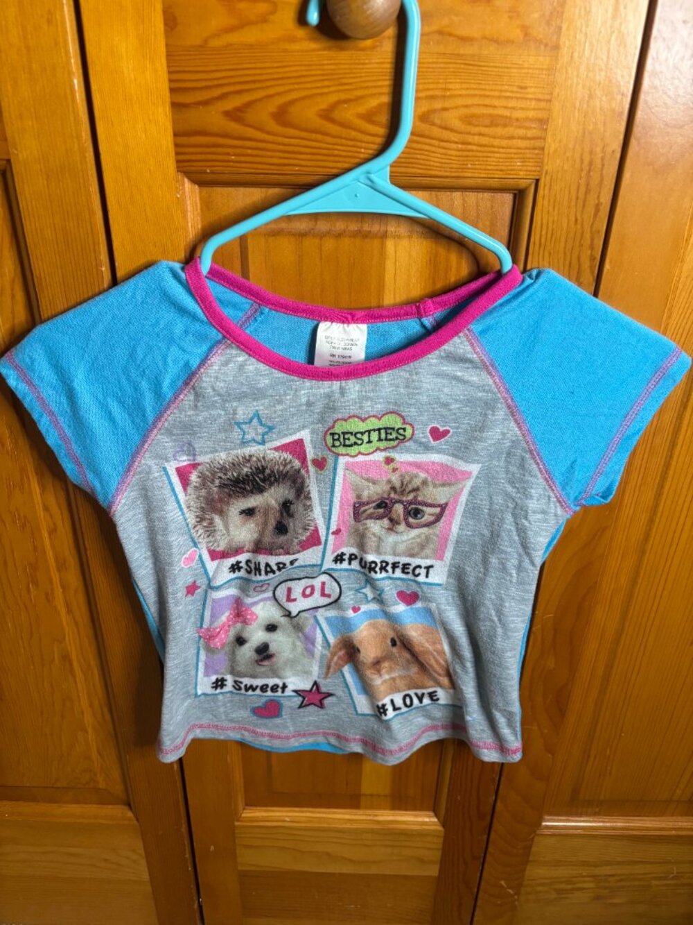 Girls Animal Blue PJ Set (Size M)